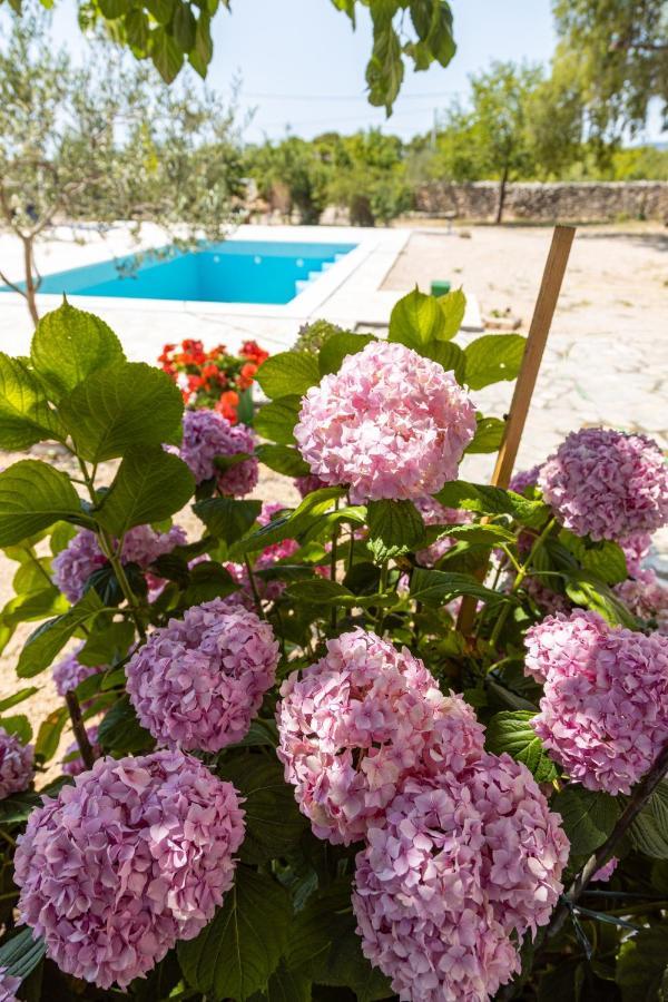 Bed and Breakfast Marcelovi Dvori Pirovac Esterno foto